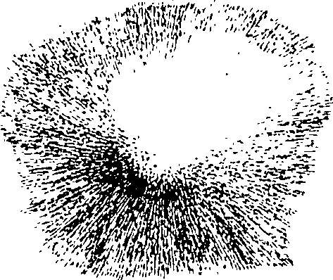 122/122130030000020_1.png