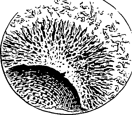 122/122130030000020_2.png