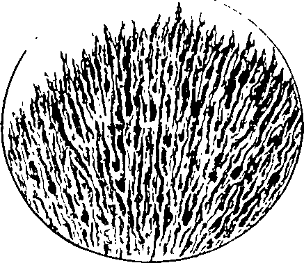 122/122130030000020_3.png