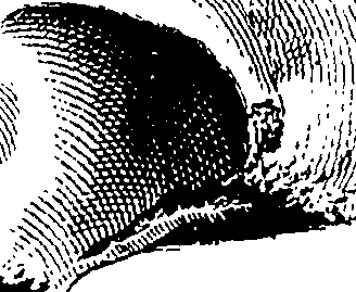 122/122130030000040_0.png