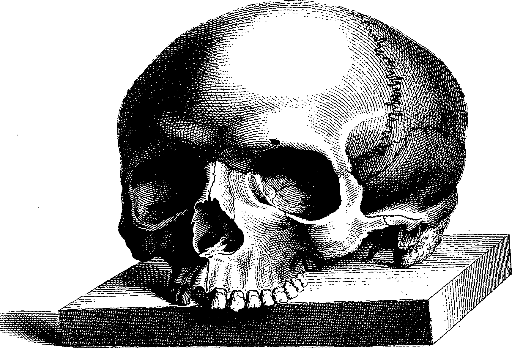 122/122130030000040_1.png
