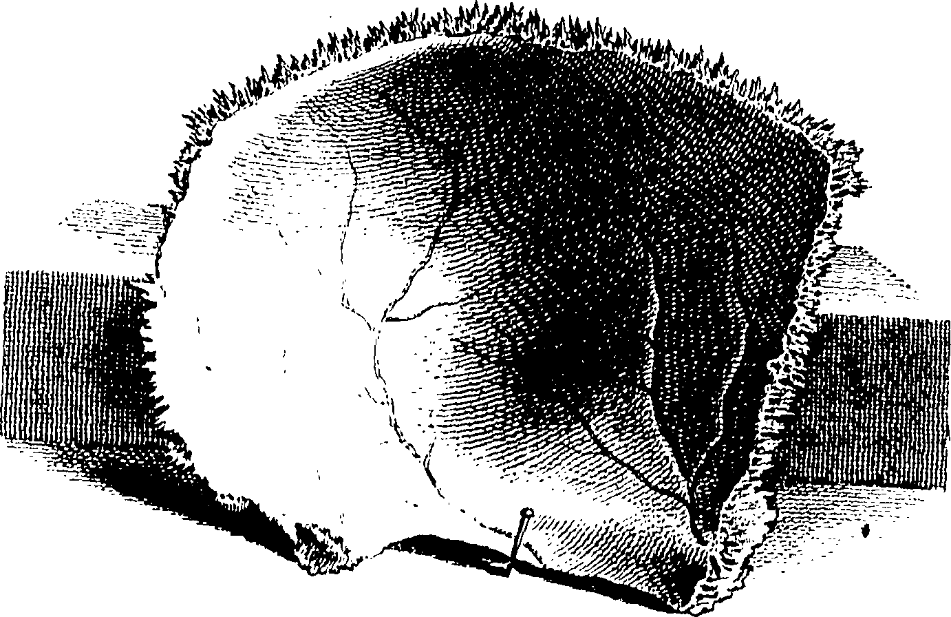 122/122130030000050_0.png