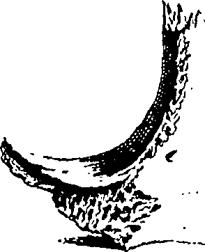122/122130030000050_1.png