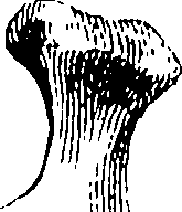 122/122130030000070_1.png