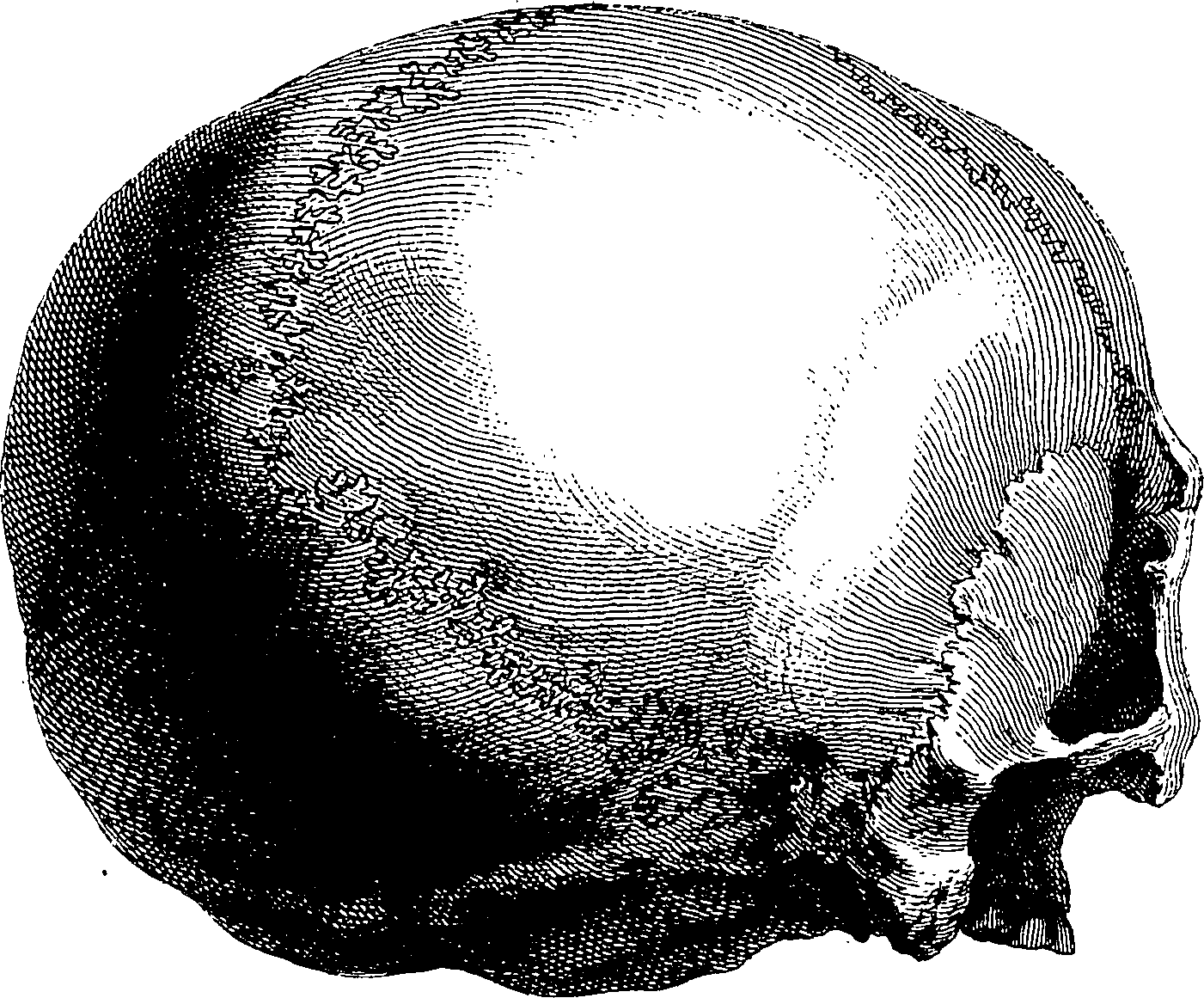 122/122130030000070_2.png