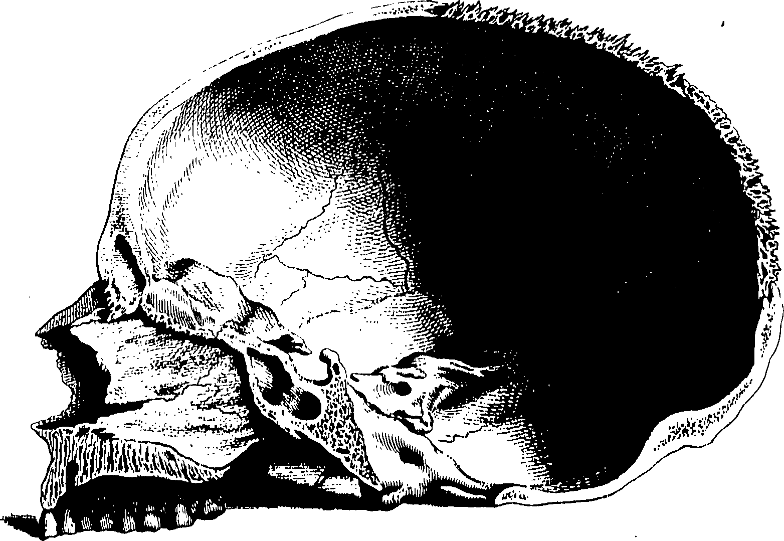 122/122130030000080_0.png