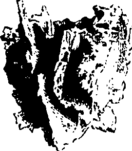 122/122130030000090_0.png