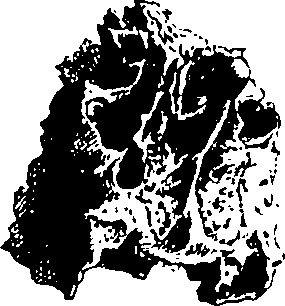 122/122130030000090_1.png