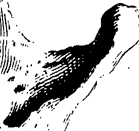 122/122130030000100_1.png