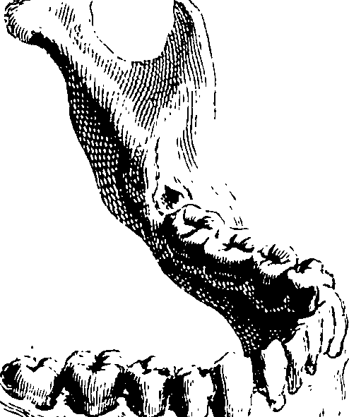 122/122130030000100_2.png