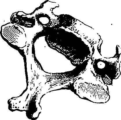 122/122130030000120_0.png