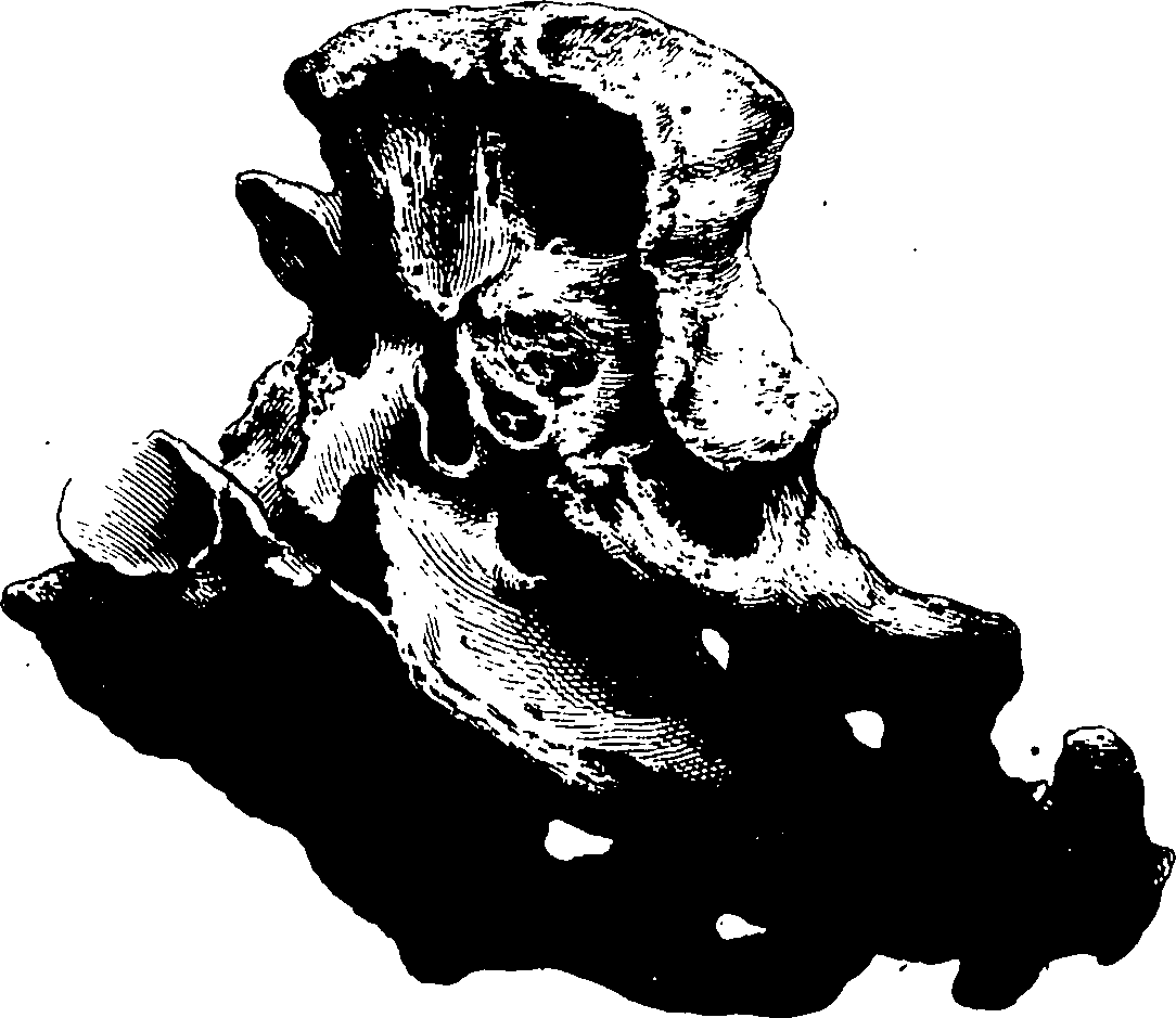 122/122130030000130_0.png