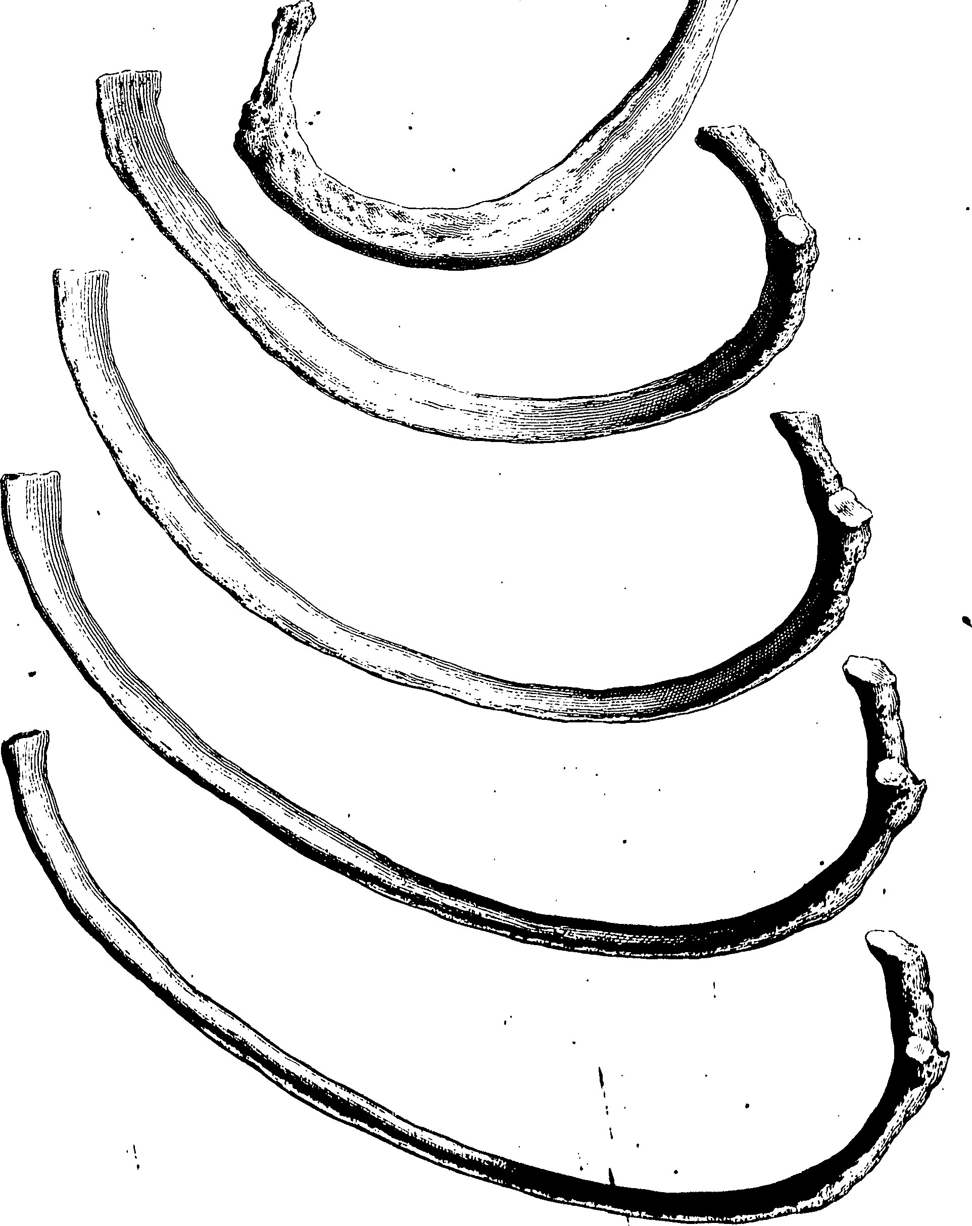 122/122130030000150_0.png