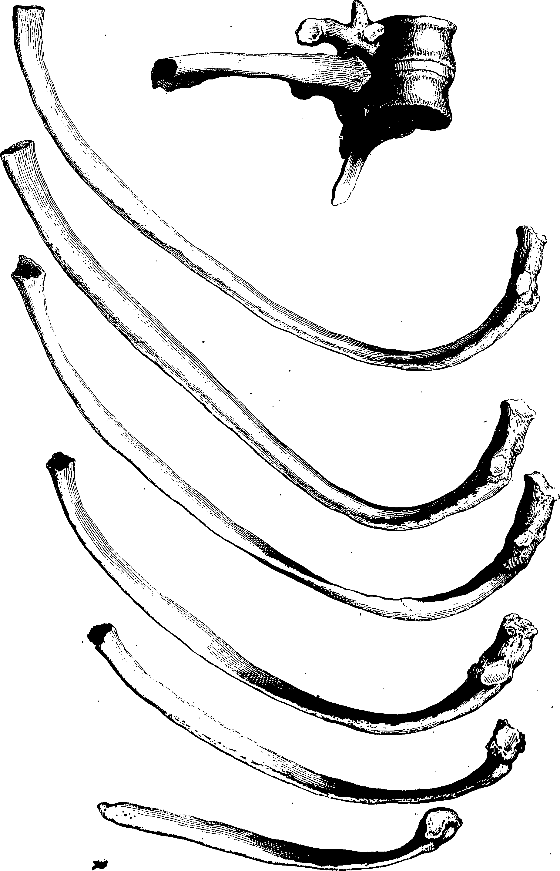 122/122130030000160_0.png
