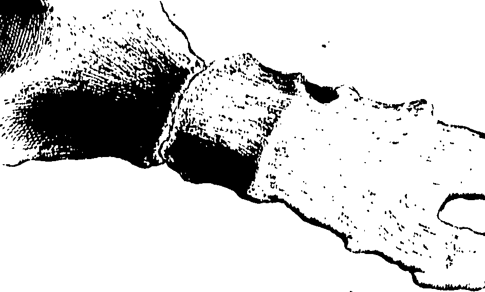 122/122130030000170_0.png