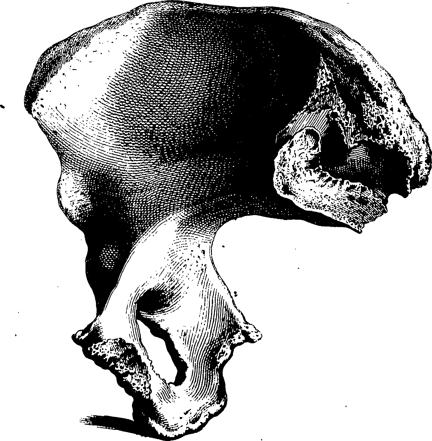 122/122130030000190_0.png