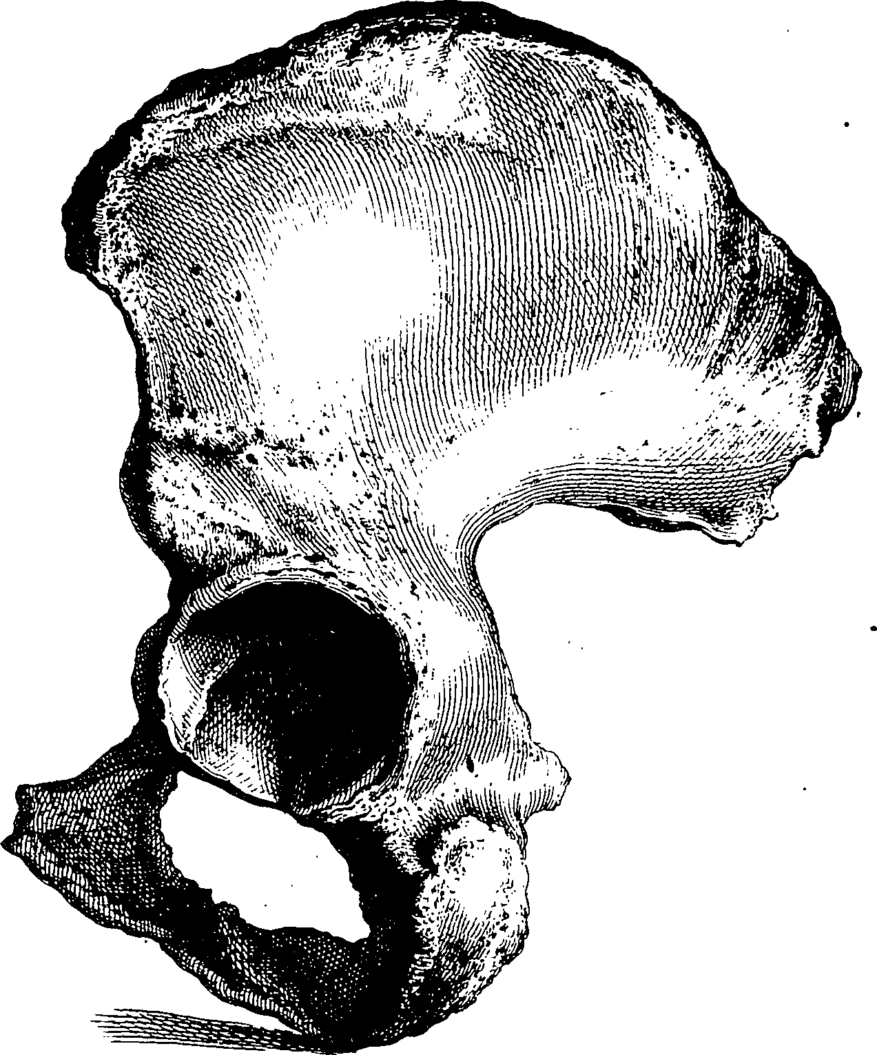 122/122130030000190_1.png