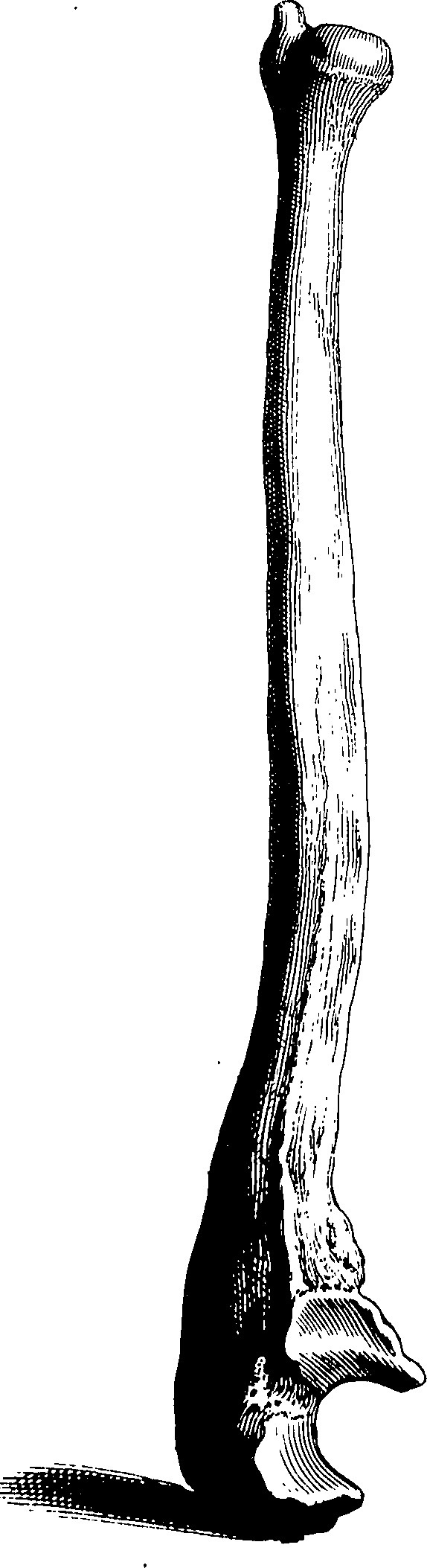 122/122130030000250_0.png