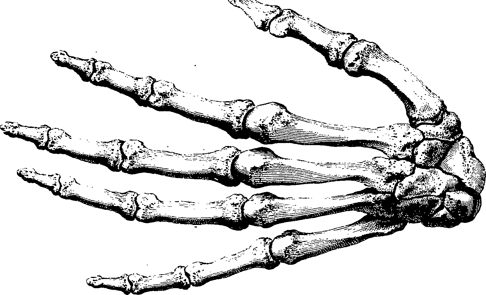 122/122130030000260_1.png