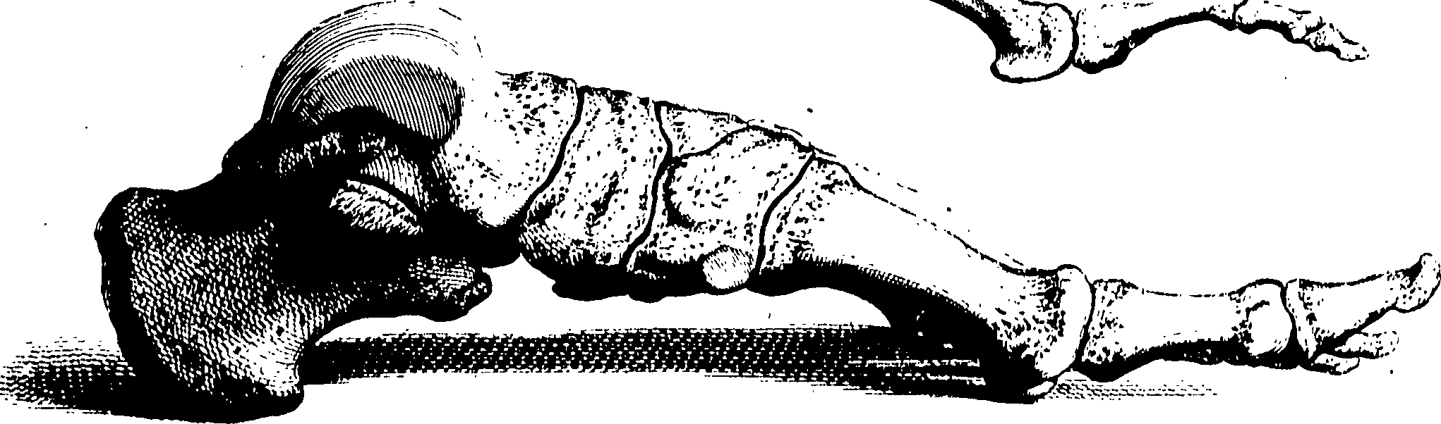 122/122130030000300_0.png