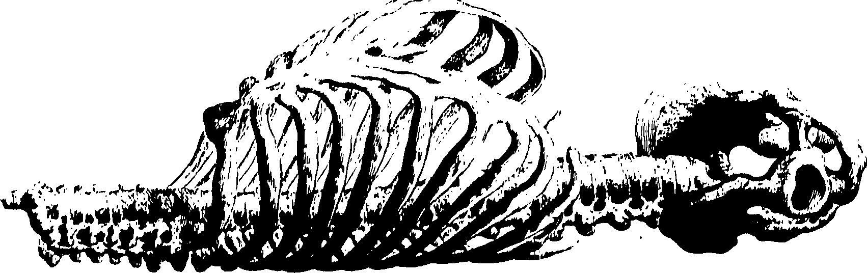 122/122130030000320_0.png