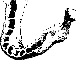 122/122130030000320_1.png