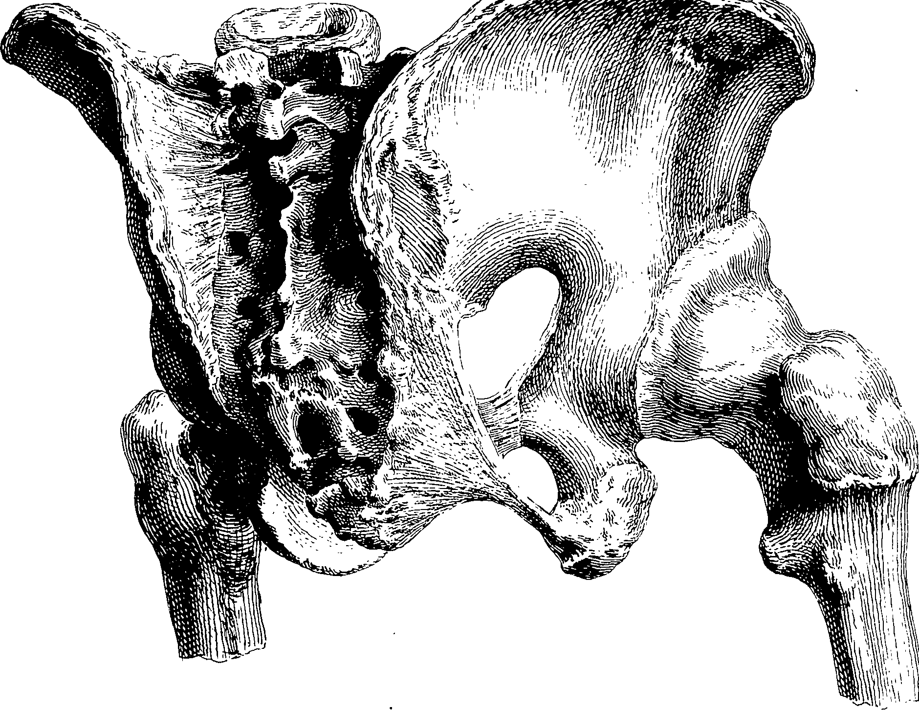 122/122130030000400_0.png