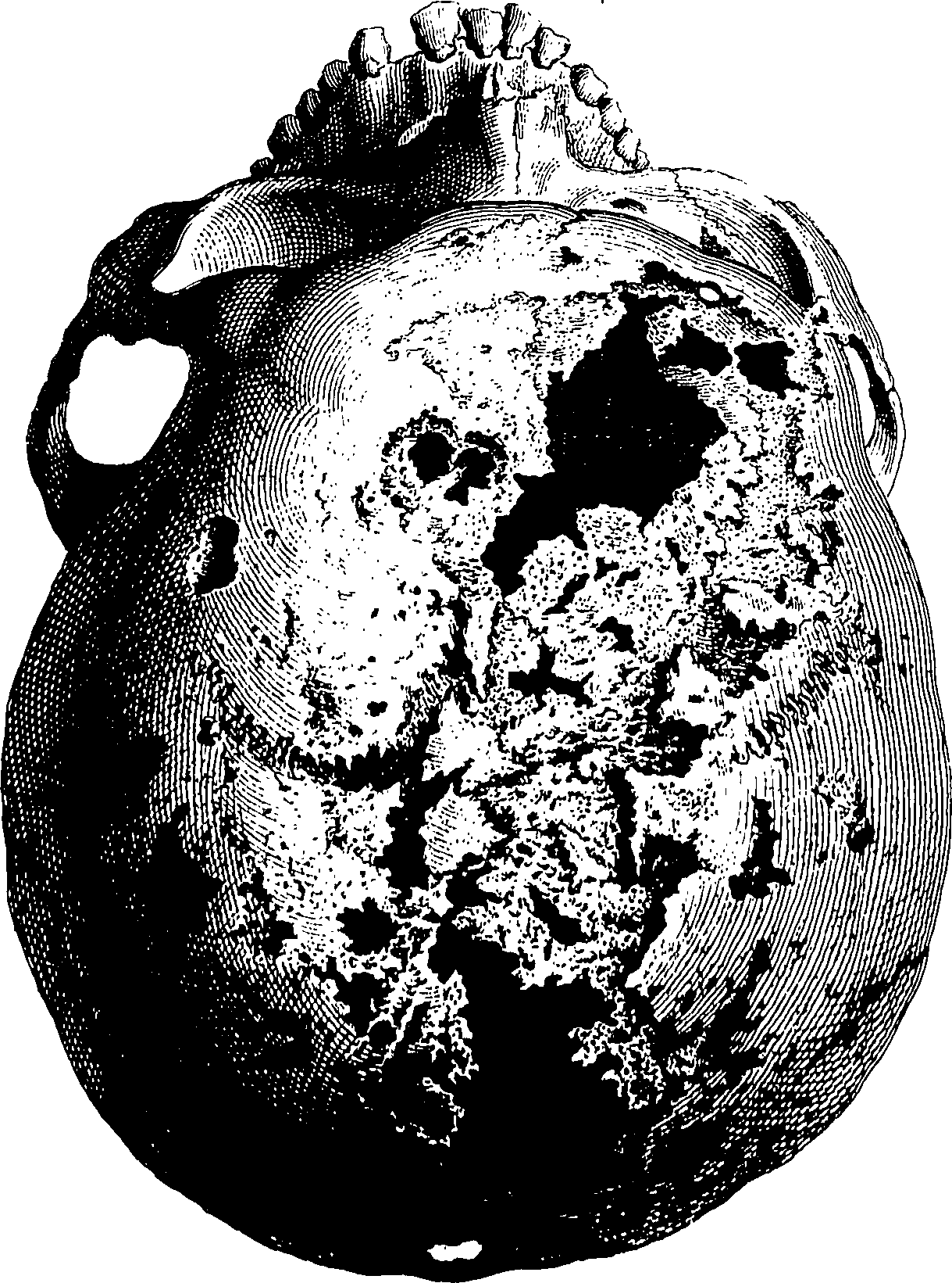 122/122130030000420_0.png