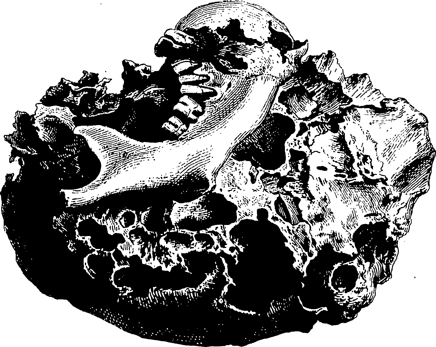 122/122130030000430_0.png