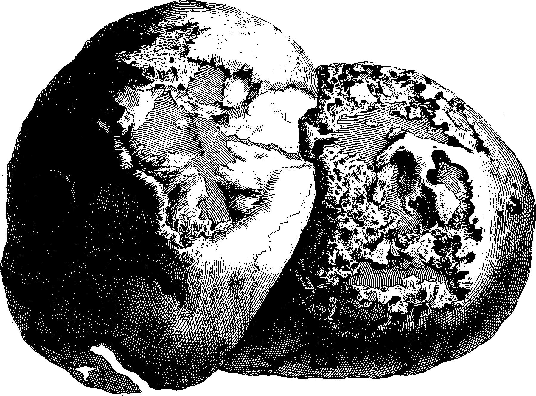 122/122130030000430_1.png