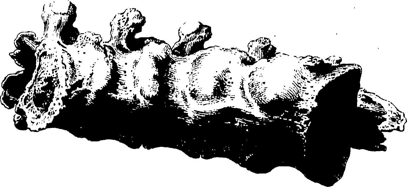 122/122130030000460_0.png