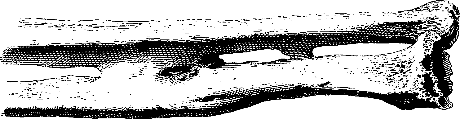 122/122130030000460_1.png
