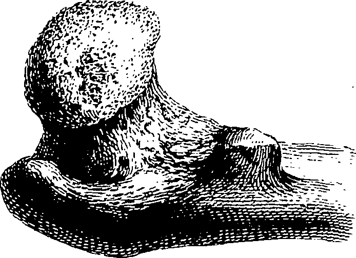 122/122130030000470_1.png