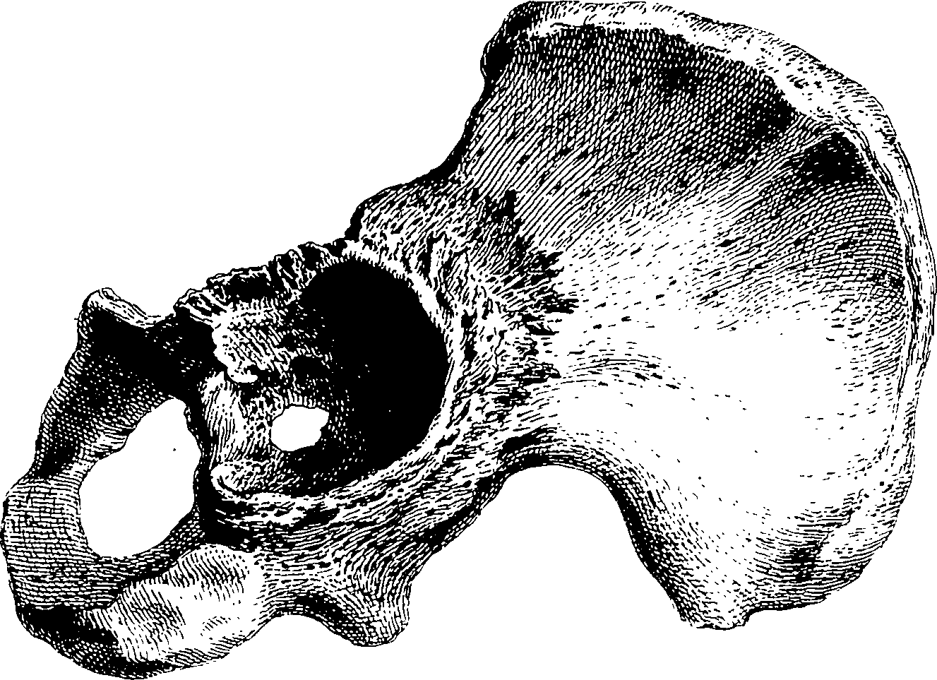 122/122130030000470_2.png