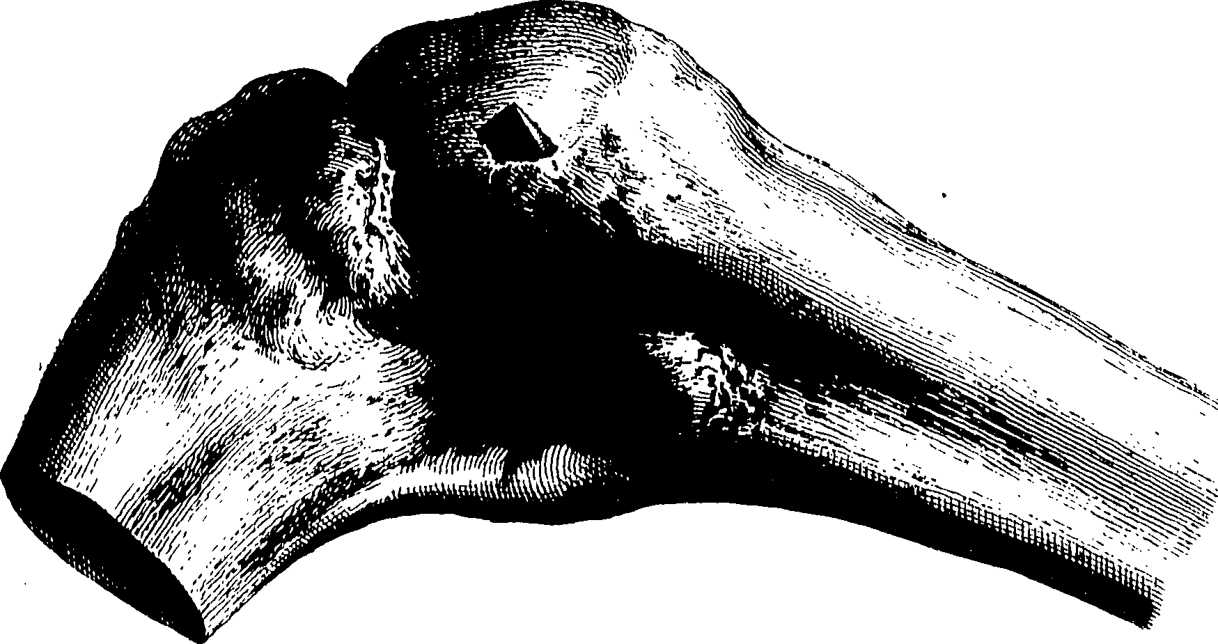 122/122130030000480_0.png