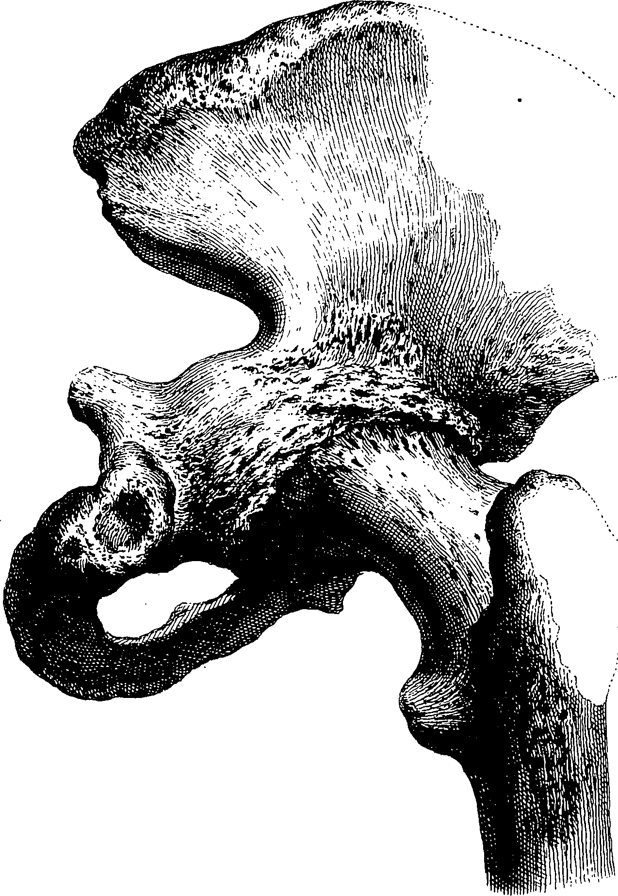 122/122130030000480_1.png
