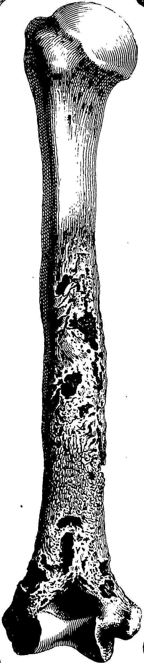 122/122130030000490_0.png
