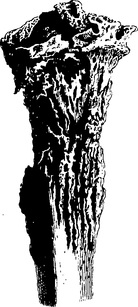 122/122130030000500_0.png