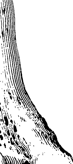 122/122130030000520_0.png