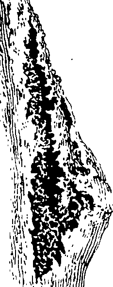 122/122130030000520_1.png