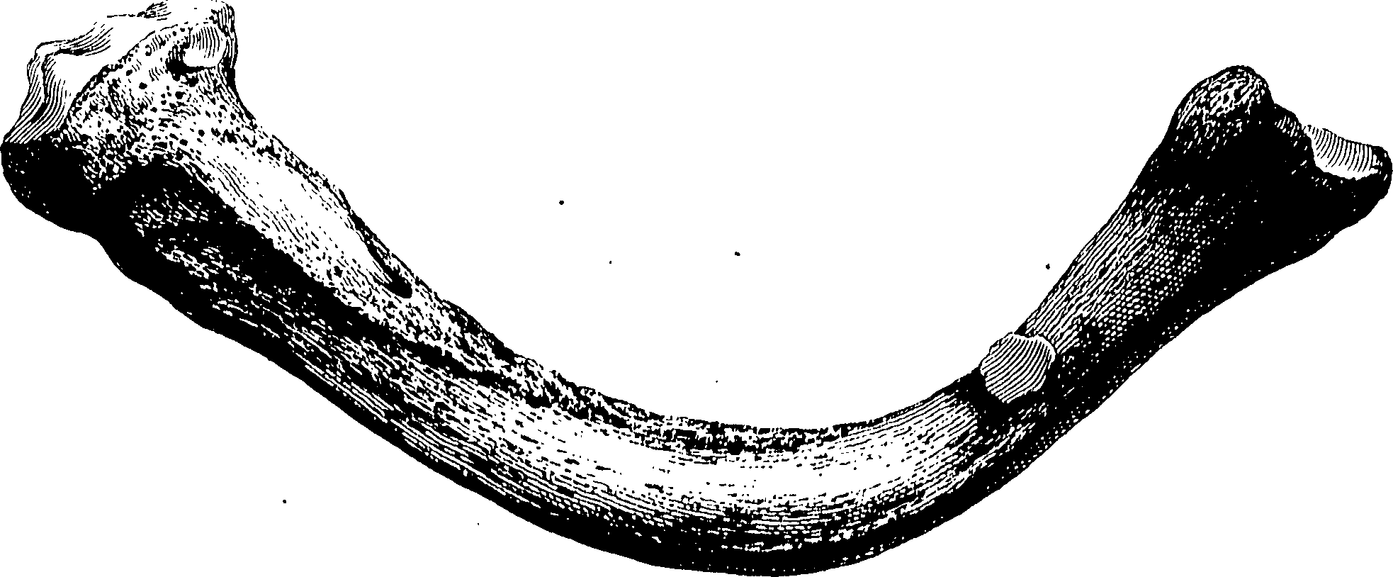 122/122130030000530_0.png
