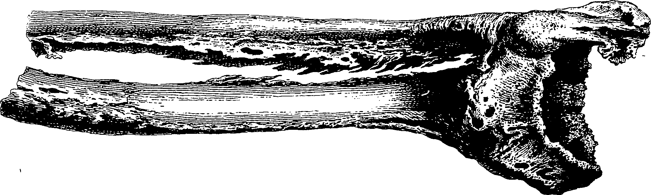 122/122130030000530_1.png