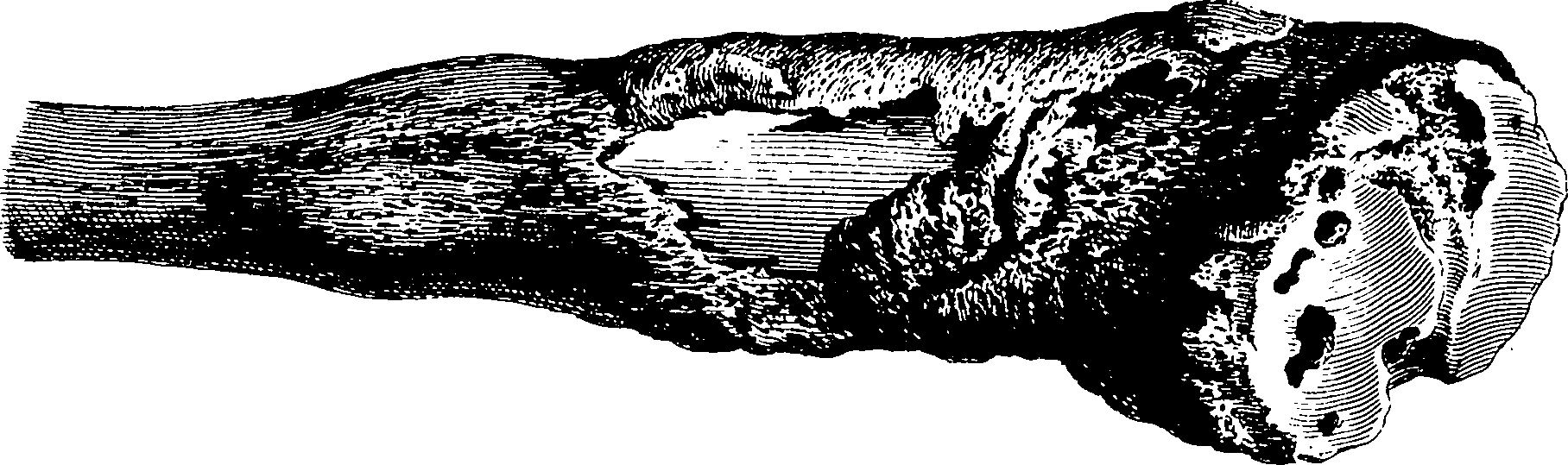 122/122130030000530_2.png