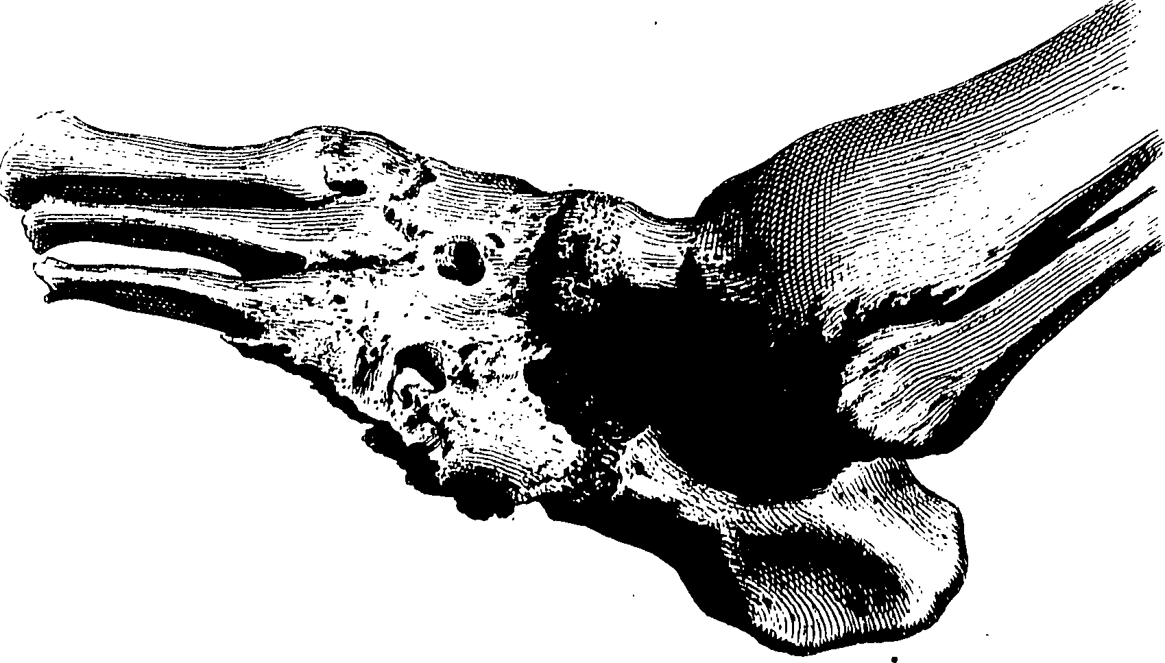 122/122130030000550_0.png