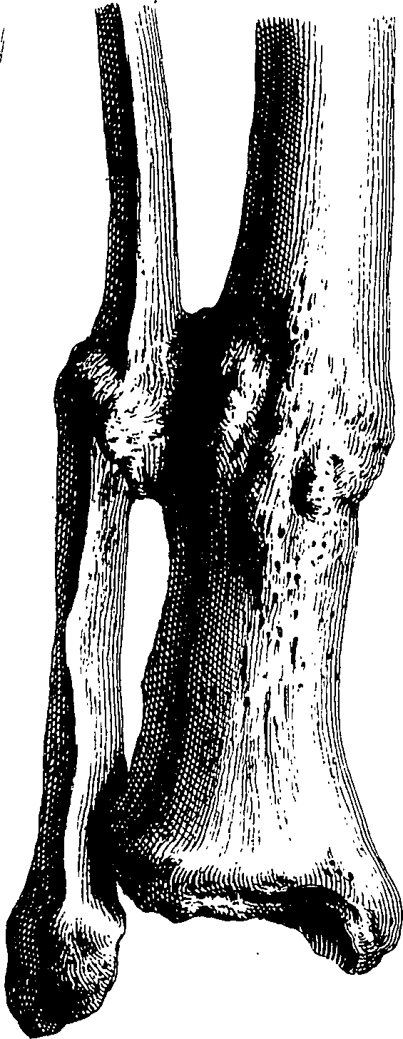 122/122130030000550_1.png