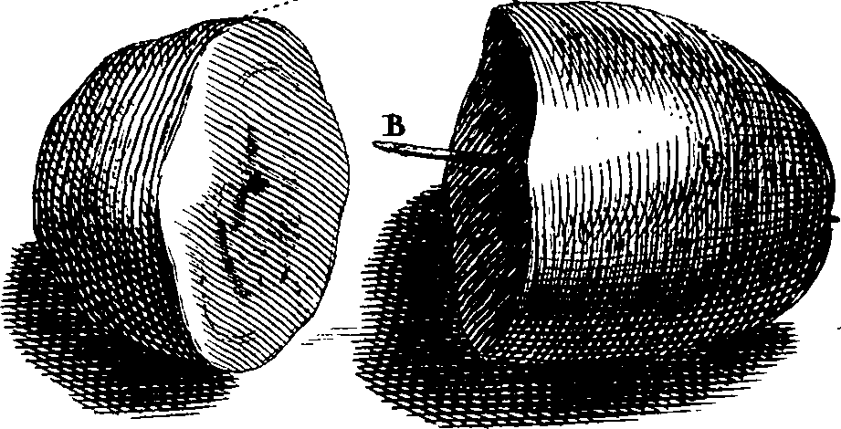122/122140090000550_1.png
