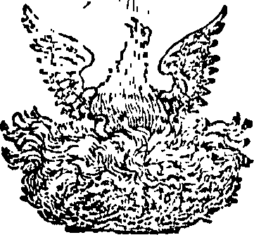 122/122140100000010_0.png