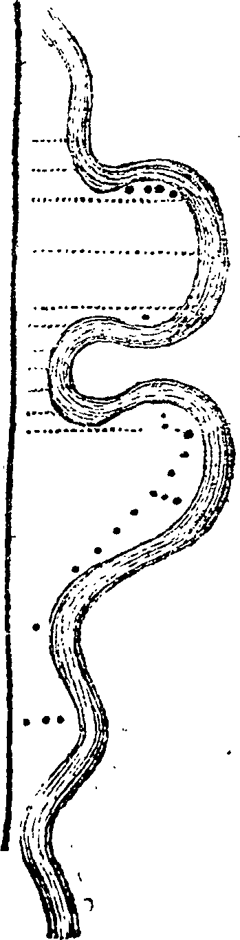 122/122150040001780_0.png