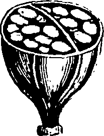 122/122320030000020_0.png