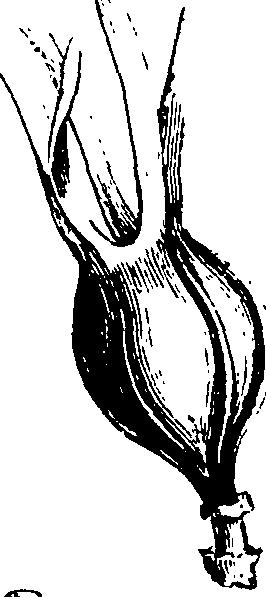 122/122320030000020_1.png